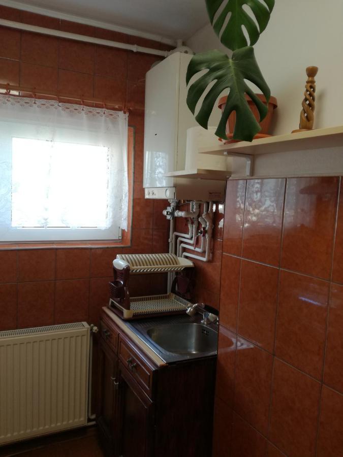 Sara Apartman Тыргу-Муреш Экстерьер фото